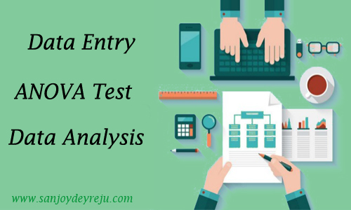 Data Entry Operator